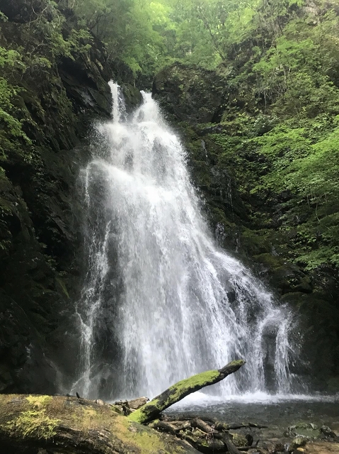 f:id:Argon:20180728213248j:image