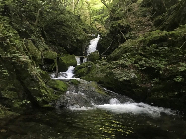 f:id:Argon:20180728213250j:image