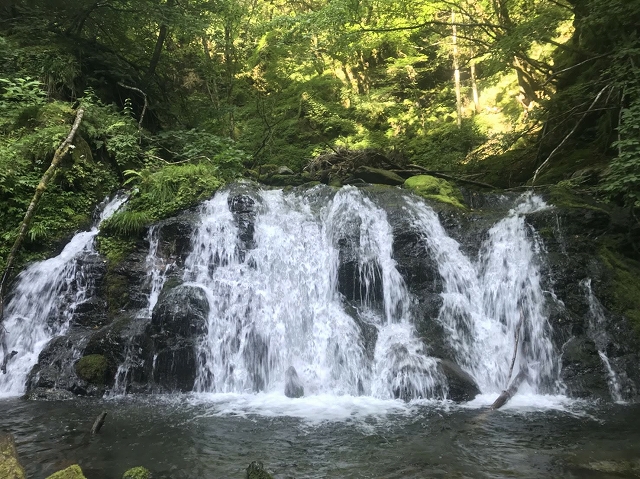 f:id:Argon:20180728213251j:image
