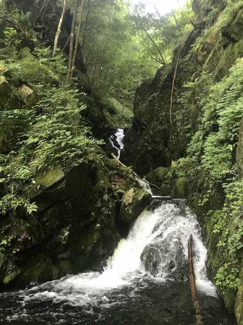 f:id:Argon:20180728213252j:image