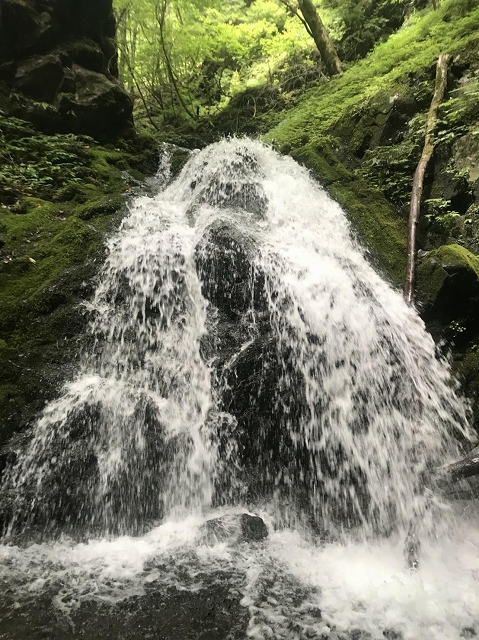 f:id:Argon:20180728213254j:image