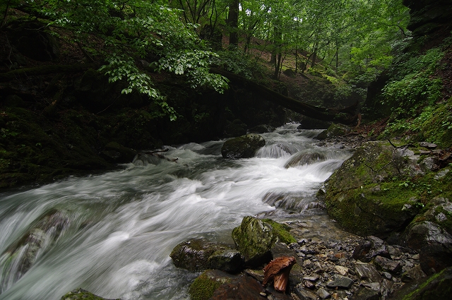 f:id:Argon:20180812003033j:image