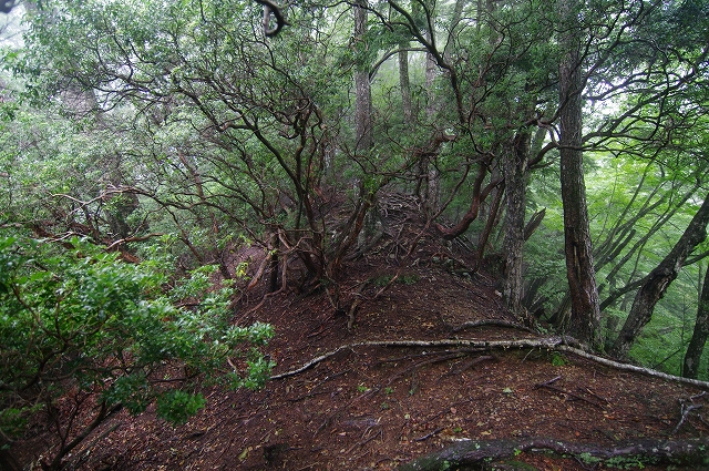 f:id:Argon:20180812003034j:image