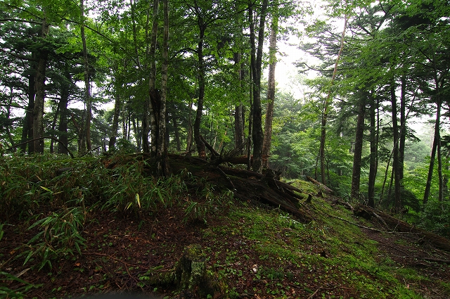 f:id:Argon:20180812003035j:image