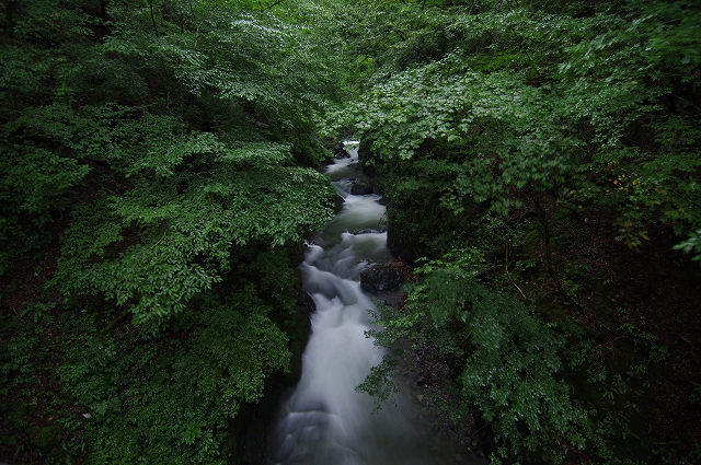 f:id:Argon:20180812003038j:image