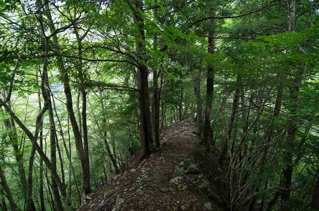 f:id:Argon:20180812003043j:image