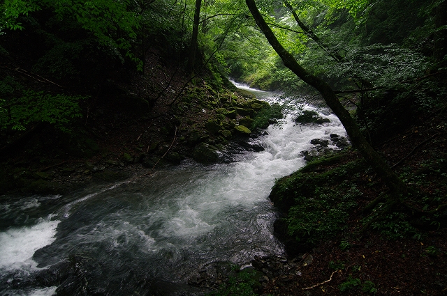 f:id:Argon:20180812003044j:image