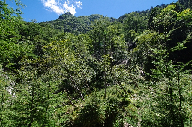 f:id:Argon:20180827110435j:image f:id:Argon:20180827110435j:image