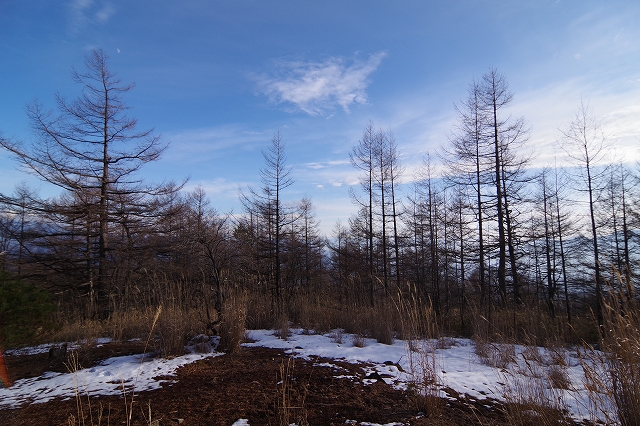 f:id:Argon:20181221215000j:plain