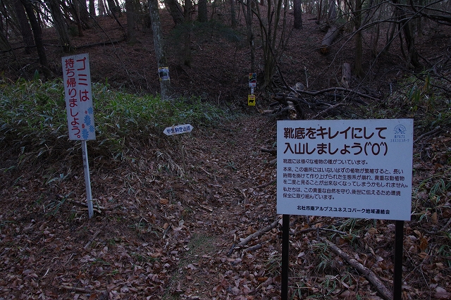 f:id:Argon:20190101174647j:plain