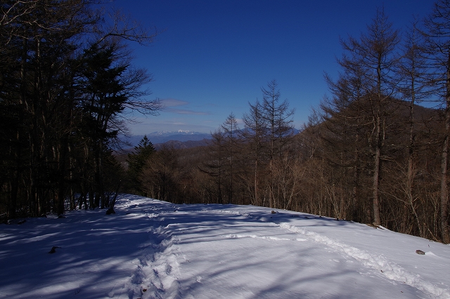 f:id:Argon:20190210172914j:plain