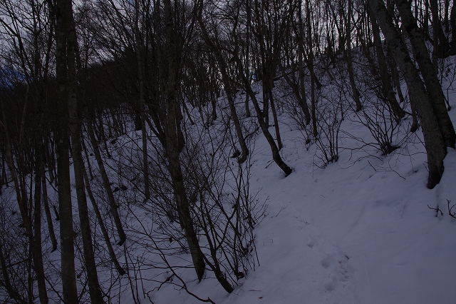 f:id:Argon:20190210172921j:plain