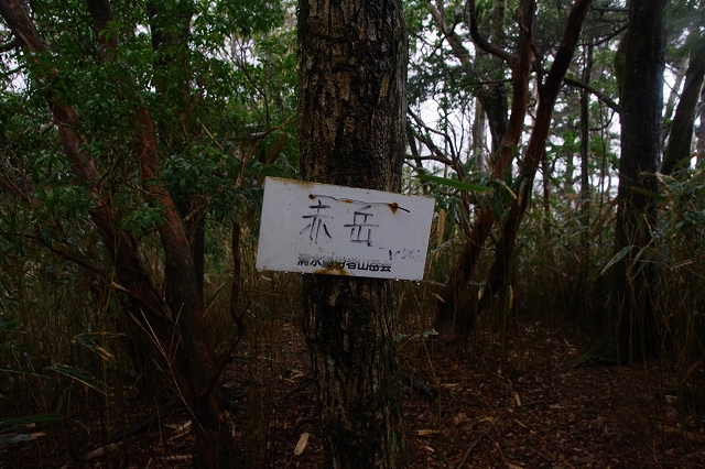 f:id:Argon:20190321211215j:plain