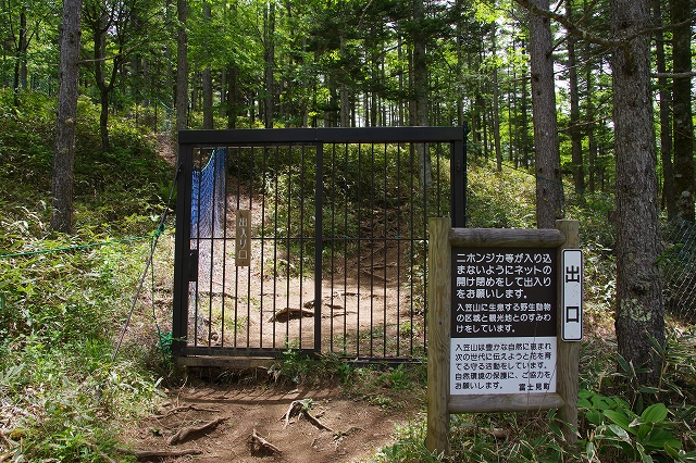 f:id:Argon:20190620235612j:plain f:id:Argon:20190620235612j:plain