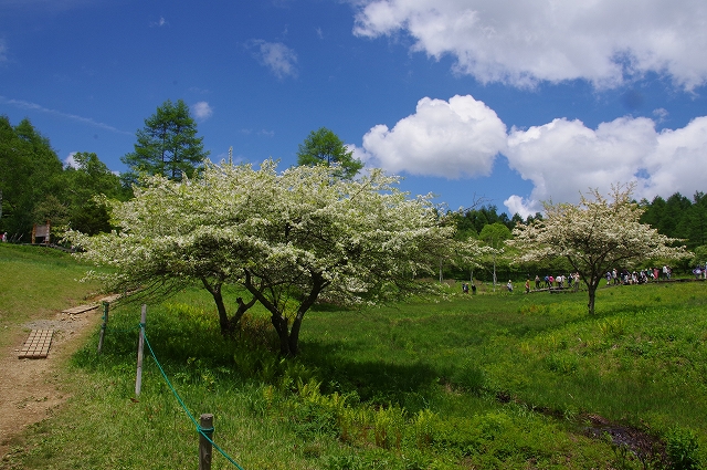 f:id:Argon:20190620235615j:plain f:id:Argon:20190620235615j:plain