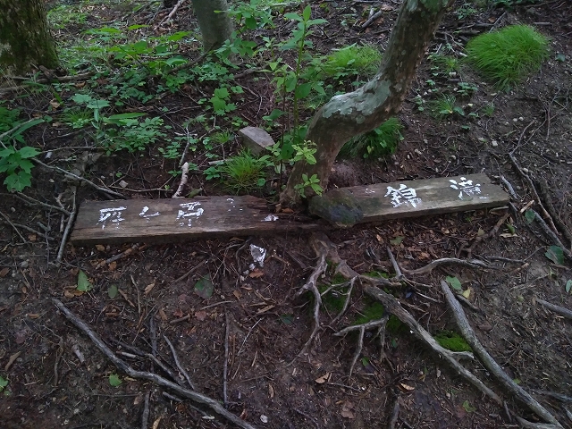 f:id:Argon:20190722110448j:plain