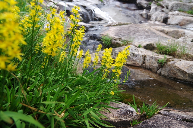 f:id:Argon:20190815174237j:plain f:id:Argon:20190815174237j:plain