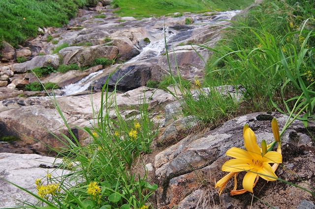f:id:Argon:20190815174245j:plain f:id:Argon:20190815174245j:plain