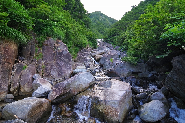 f:id:Argon:20190815174621j:plain f:id:Argon:20190815174621j:plain