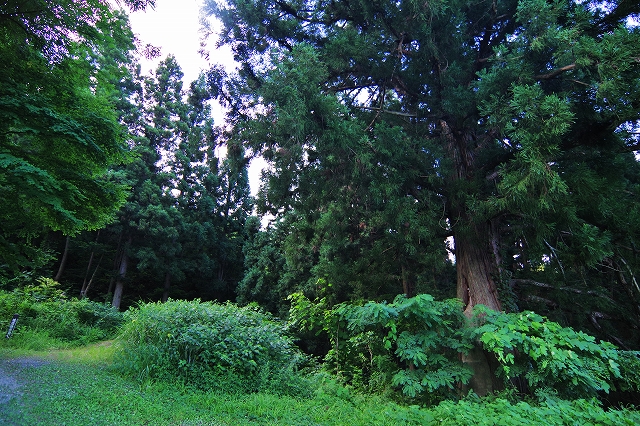 f:id:Argon:20190815181031j:plain