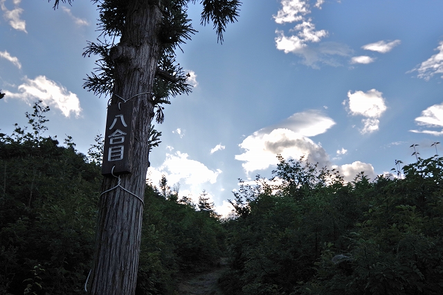 f:id:Argon:20190815181054j:plain