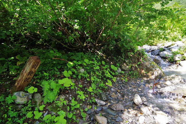 f:id:Argon:20190904150818j:plain f:id:Argon:20190904150818j:plain