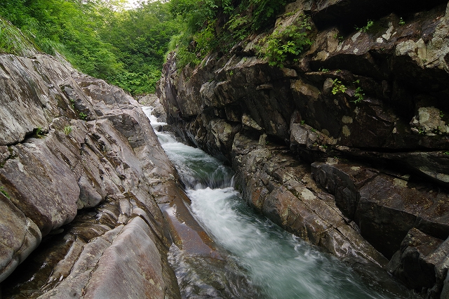 f:id:Argon:20190904150822j:plain f:id:Argon:20190904150822j:plain