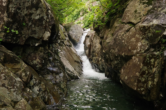 f:id:Argon:20190904150832j:plain f:id:Argon:20190904150832j:plain