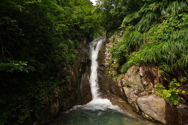 f:id:Argon:20190904150924j:plain f:id:Argon:20190904150924j:plain