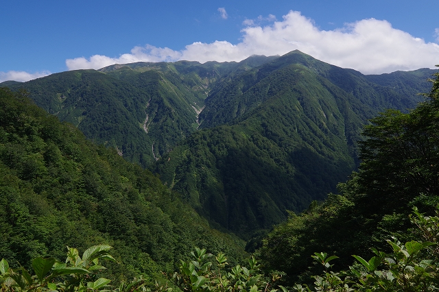 f:id:Argon:20190909152434j:plain