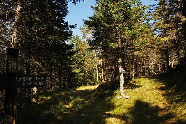 f:id:Argon:20191010231330j:plain