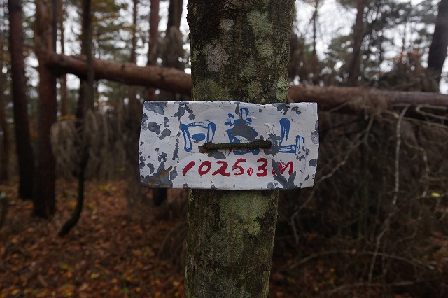 f:id:Argon:20191123203114j:plain f:id:Argon:20191123203114j:plain