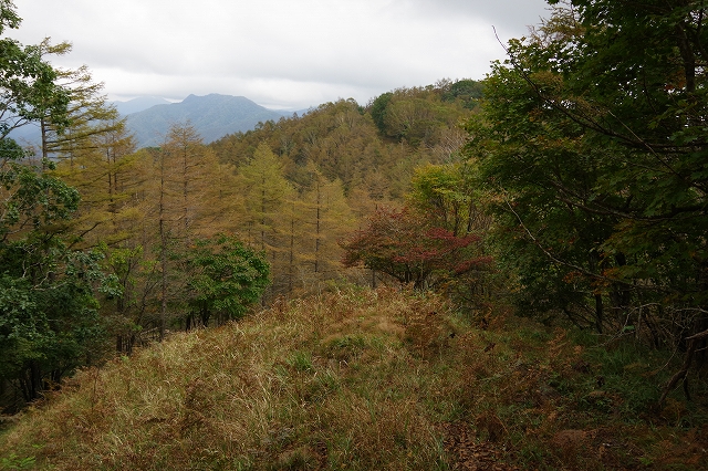 f:id:Argon:20201006192503j:plain