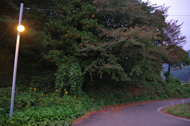 f:id:Argon:20201019224652j:plain f:id:Argon:20201019224652j:plain