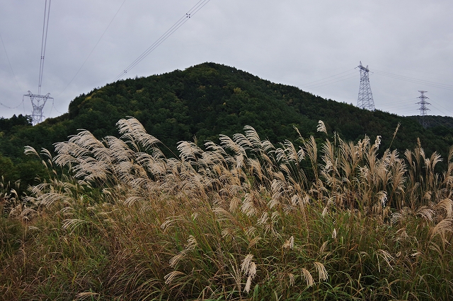 f:id:Argon:20201019224951j:plain f:id:Argon:20201019224951j:plain