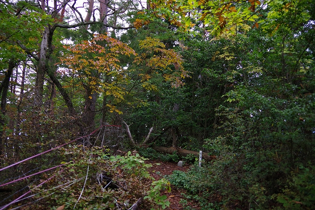 f:id:Argon:20201019225105j:plain