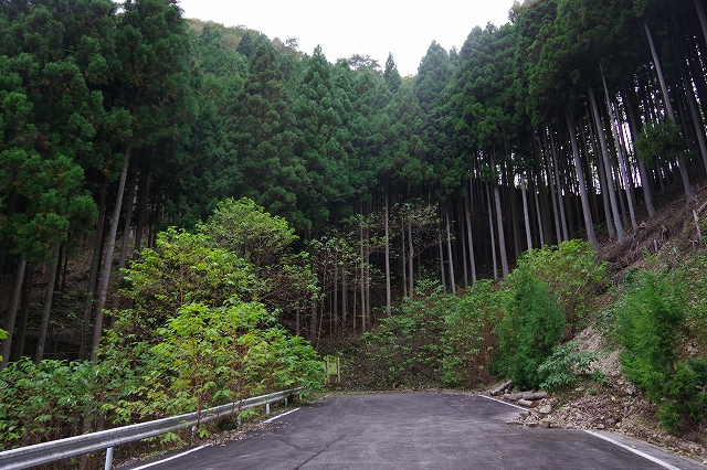 f:id:Argon:20201024201141j:plain f:id:Argon:20201024201141j:plain