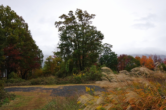 f:id:Argon:20201104100632j:plain