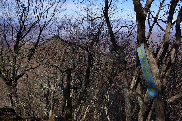f:id:Argon:20201117205554j:plain