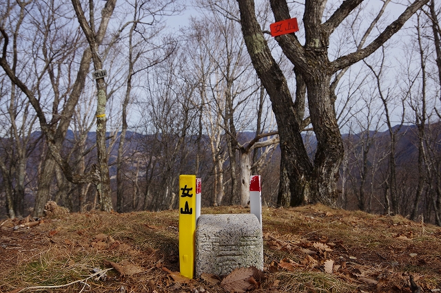 f:id:Argon:20210116193944j:plain