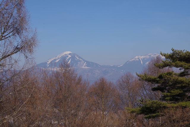 f:id:Argon:20210302215431j:plain