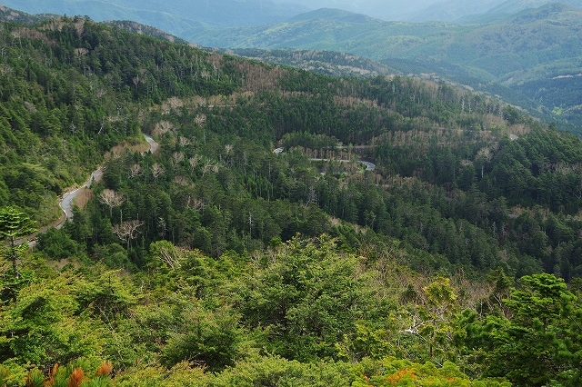 f:id:Argon:20210607194510j:plain