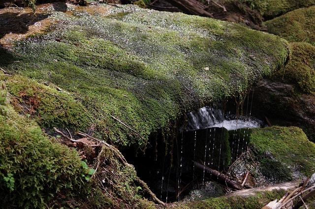 f:id:Argon:20210607194547j:plain