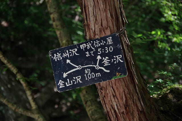f:id:Argon:20210806131014j:plain
