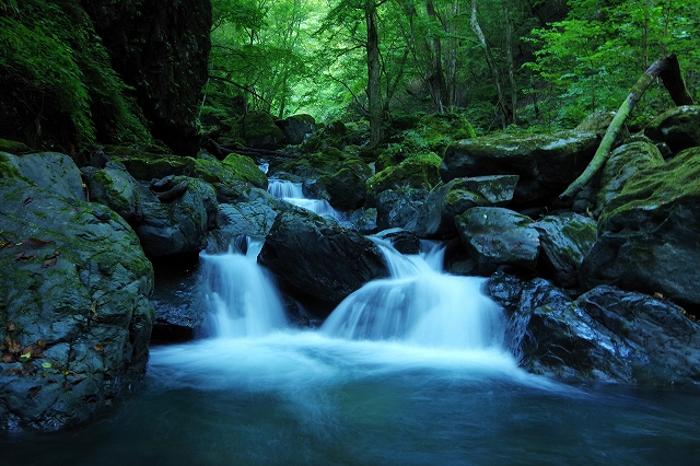 f:id:Argon:20210929231855j:plain