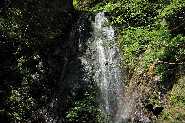 f:id:Argon:20210929232030j:plain