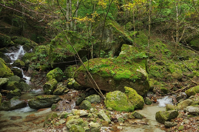 f:id:Argon:20211017135312j:plain