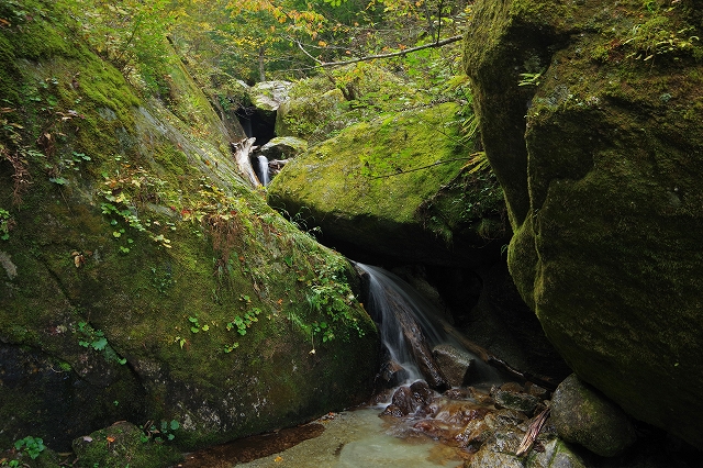 f:id:Argon:20211017135336j:plain