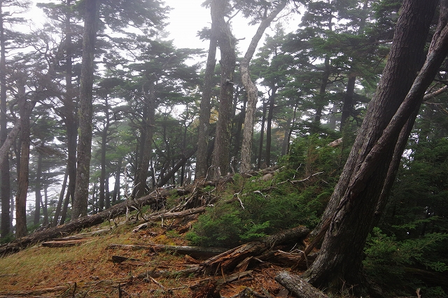 f:id:Argon:20211017135917j:plain