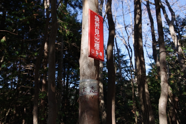 f:id:Argon:20211213195220j:plain